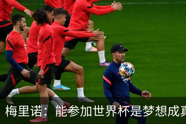 梅里诺：能参加世界杯是梦想成真，我克服了受伤的艰难时刻